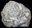 Crystal Filled Dugway Geode (Polished Half) #67514-1